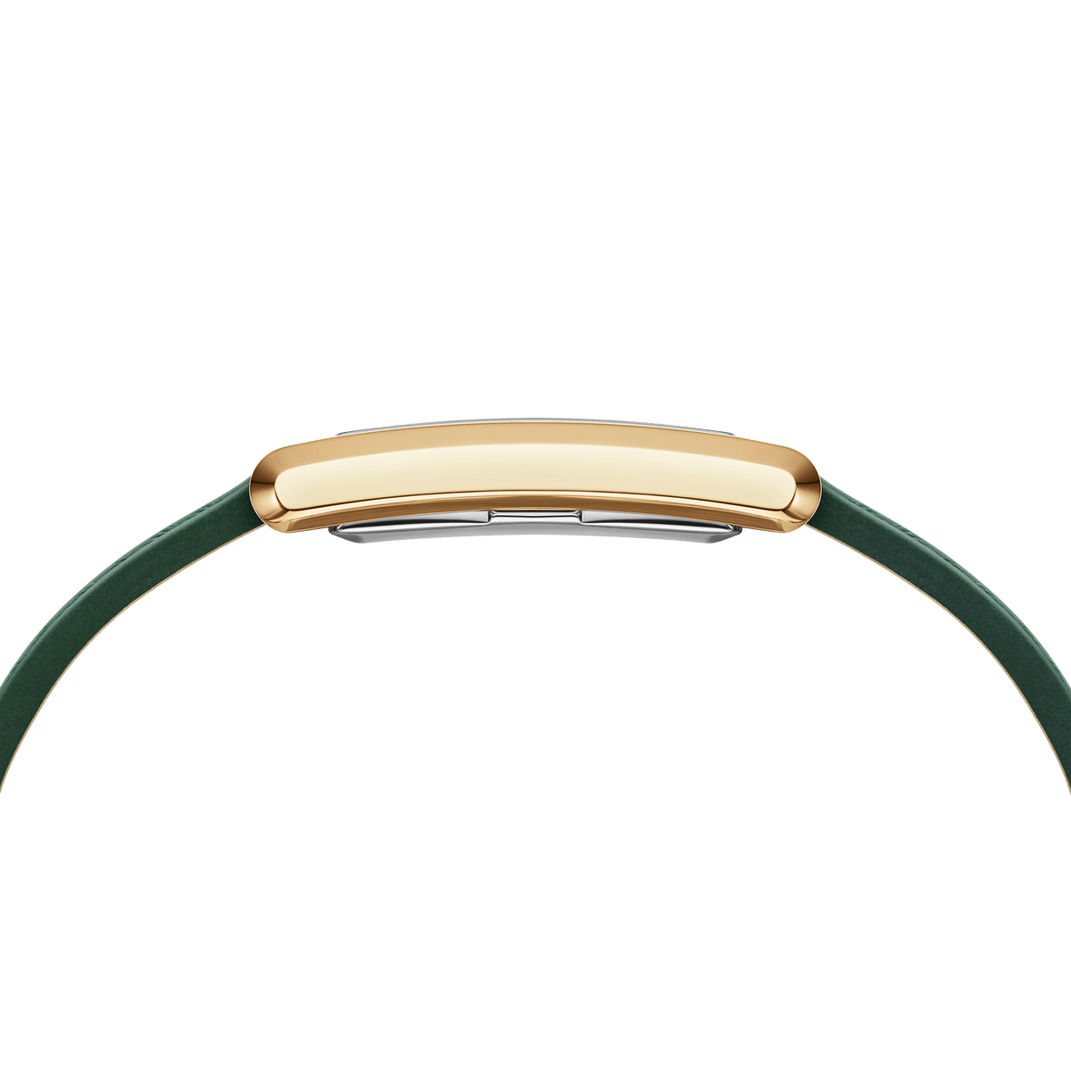 Bound Crocodile Champagne Sunray Gold