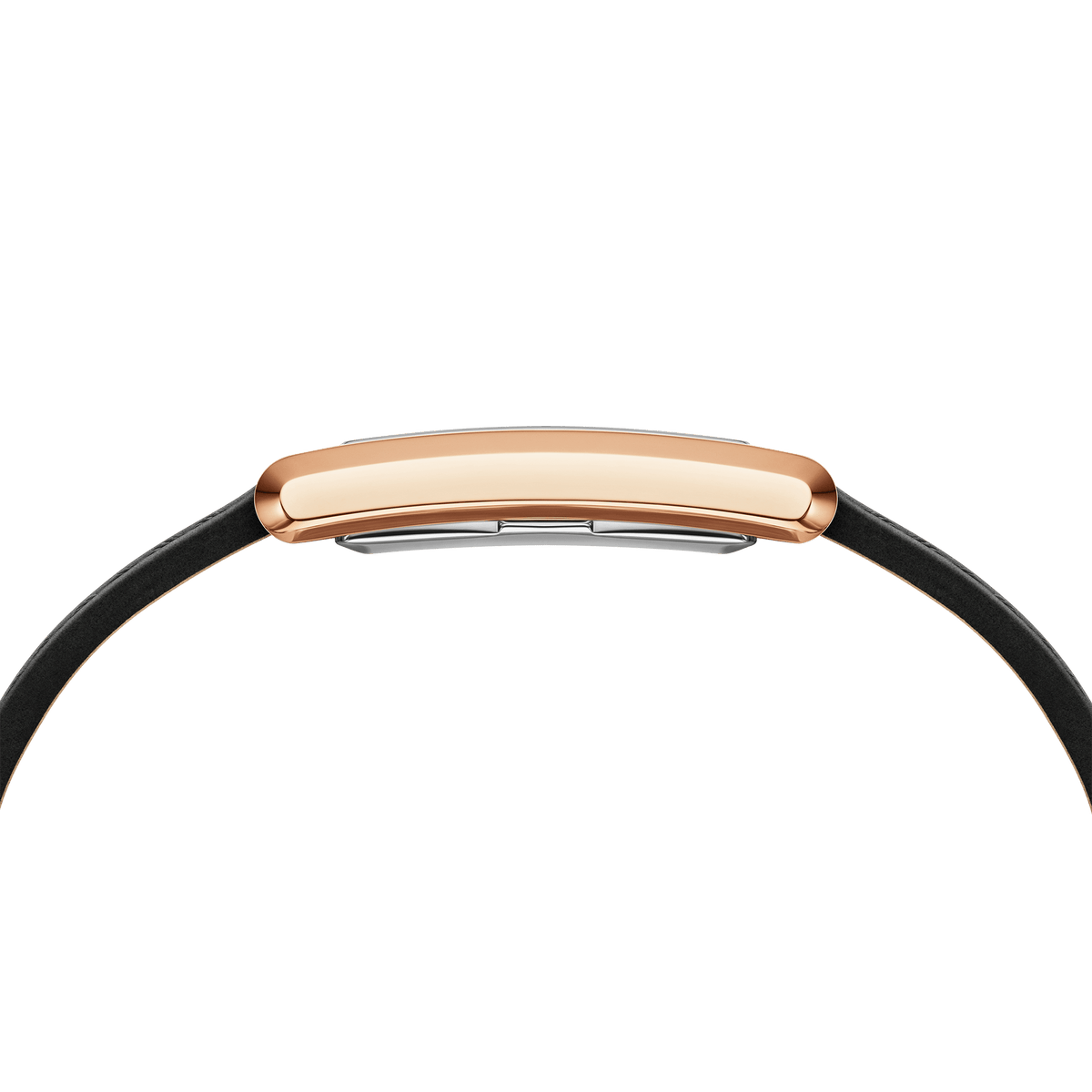 Bound Black Crocodile Rose Gold